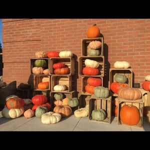 Meet your Posher, Jon